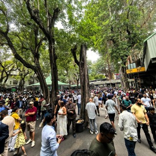 Maiden Cup : le Champ de Mars se prépare au grand spectacle, entre tradition, passion et grande foule