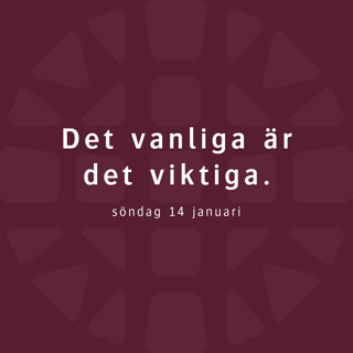 Det vanliga är det viktiga – Robert Eriksson