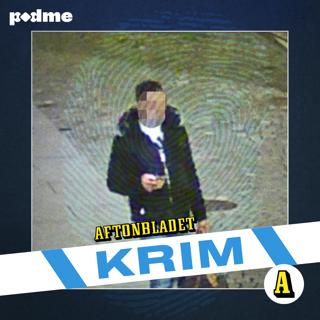 Hedersmordet i Eskilstuna och tragedin i Västerås