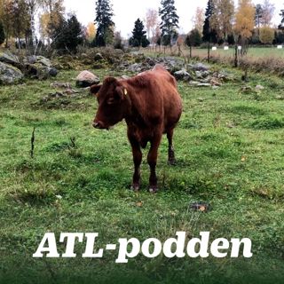 Flytande biogas, kolinlagring och ellastare