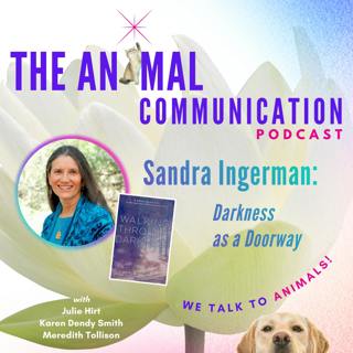 Darkness as a Doorway with Sandra Ingerman