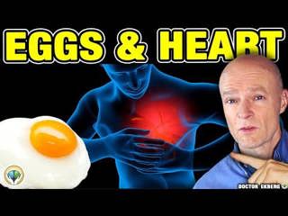 The Shocking Truth About Eggs & Heart Disease