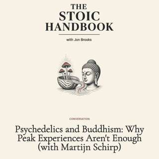 Psychedelics and Buddhism: Why Peak Experiences Aren't Enough (with Martijn Schirp)