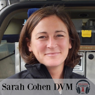 Dr. Sarah Cohen