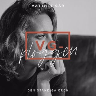321. VG-ploggen Repris, "Den ständiga oron"