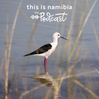 The wet edge of Etosha
