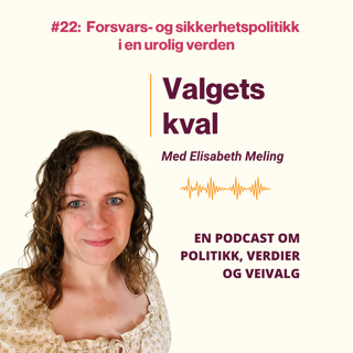 #22: Forsvars- og sikkerhetspolitikk i en urolig verden