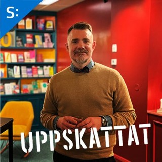 Fredrik Kopsch om bostadsfrågor