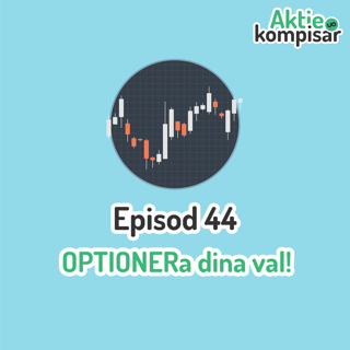 Episod 44 - OPTIONERa dina val!