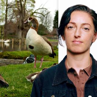 Bruten arabiska och migrationspolitik i Regent's Park: Liza Youhanan, London