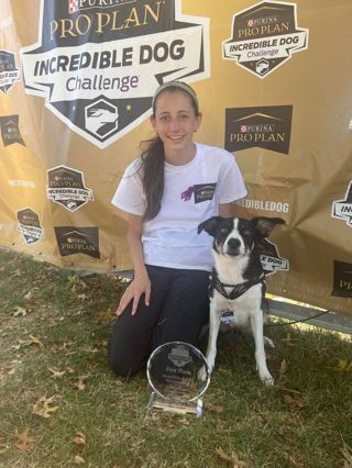 313: Interview with Junior Handler Jada Sawhney