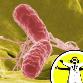 What's Living in Your Loo?