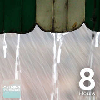 Heavy Rainfall No Thunder (8 Hours) | Relaxing Rain Sounds for Sleeping