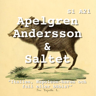 S1. A21. "Italien, Napoleon-haren och full eller bäbis?"