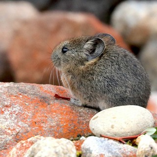 FE Haldane 2020: Anderson Feijo talks to Lara Ferry