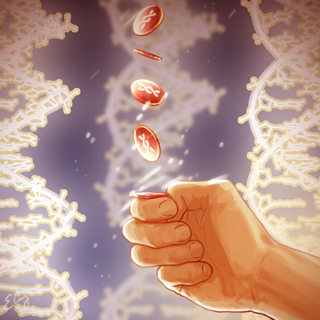 Understanding Lipids and Cardiovascular Risk Through Mendelian Randomization