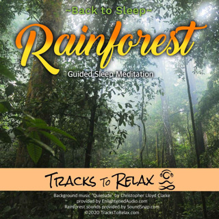 SLEEPY RAINFOREST 