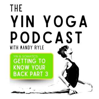 Getting to Know Your Back: Part 3
