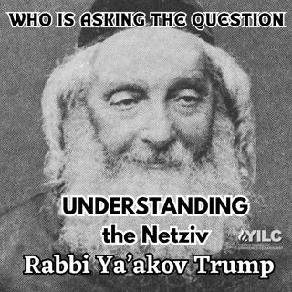 Understanding the Netziv