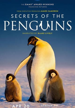 Secrets of Penguins w/ Dr. Pablo “Popi” Borboroglu