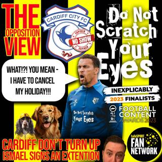 THE OPPOSITION VIEW - Cardiff City (Away)