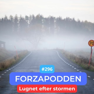 296 - Lugnet efter stormen