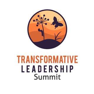 Destry Brown Transformative Leadership Summit Teaser Transformative Principal 1012