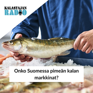 Onko Suomessa pimeän kalan markkinat?