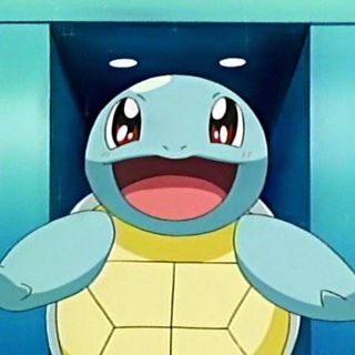 #10 Squirtle, Squirtle