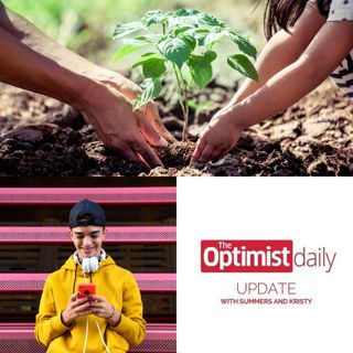 Social Media Safety & Welsh Tree Planting