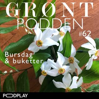 #62 Bursdag og buketter