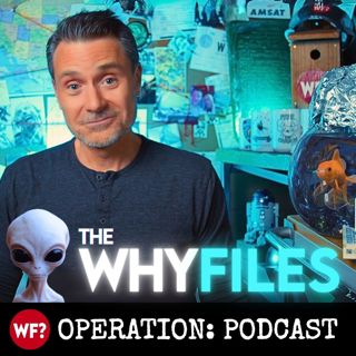 635: Basement #007: Hugh Newman | Giant Skeletons, Sumerian Myths, and Megaliths