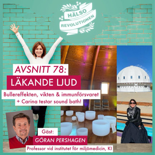 AVSNITT 78: LÄKANDE LJUD – från farligt buller till sound bath