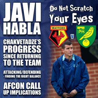 Javi Habla - Norwich City (Home)