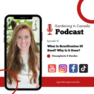 What Is Seed Scarification? Why Do We Need To Scar Seeds?