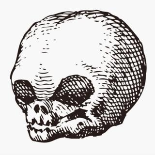 Intro to the Morbid Anatomy, with Joanna Ebenstein
