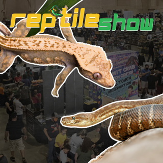 Raleigh, NC Reptile Expo (REPTICON Reptile Show) | Reptiles With Podcast S04EP39 (REPTILE PODCAST)