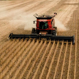 A Fifth-Generation Farmer on Trump’s $12B Bailout