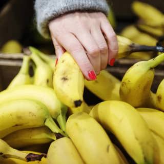 Rädda vår älskade banan – eller bygg en ny?