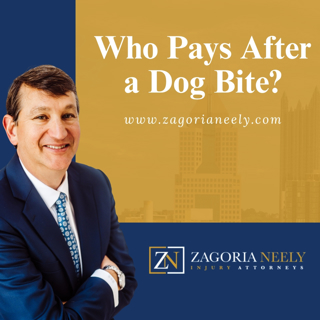 Who Can Be Held Responsible for a Dog Bite in Georgia?