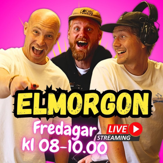 #5 ELMORGON | Allt om energilagring| Elstormen i Husdrömmar| Elektriker från Idre Fjäll