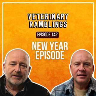 New Year Episode
