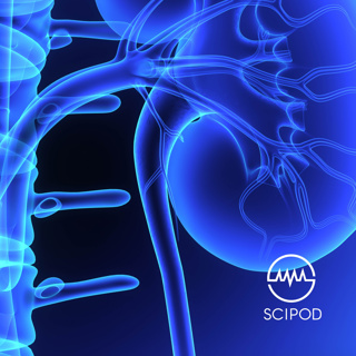 Predicting Mortality In Kidney Disease A New Nutritional Risk Index - Professor Eiichiro Kanda