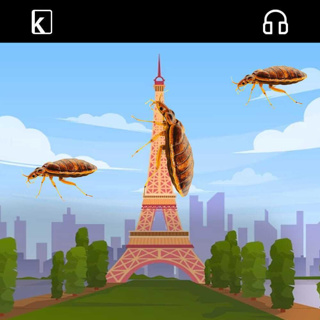 Paris Declares Bedbugs Crisis