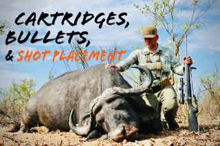 Cartridges, Bullets, & Shot Placement for Cape Buffalo