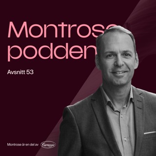 #53 - Småbolagsveteranen Stefan Roos på Origo Fonder om konsten att hitta vinnaraktierna