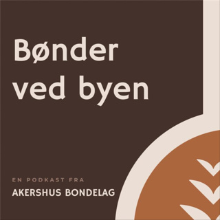 28. På vei opp i hornet på veggen