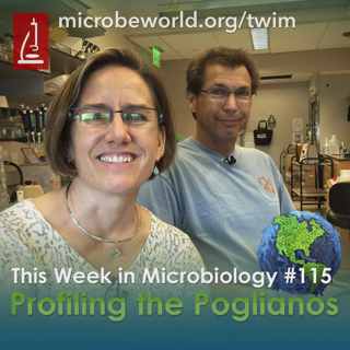 TWiM #115: Profiling the Poglianos