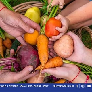 Souveraineté alimentaire et stratégie « 25 by 35 » : un objectif réalisable pour les planteurs, à condition de relever les défis du secteur