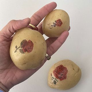 The Potato Show